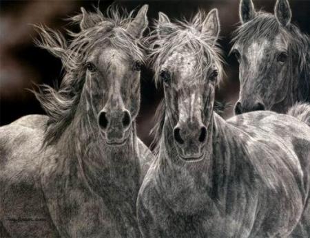 TR�s TR�S TR�S TR�S BELLE IMAGE